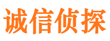 上街市私家侦探